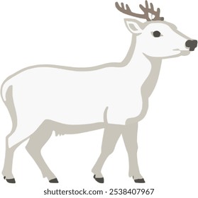Track Wildlife Animal Nature Shelter