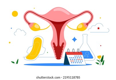 Tracking Menstrual Cycle And Female Reproductive System. Menstruation Calendar.  Female Menstrual Cycle. Vector Illustration.
