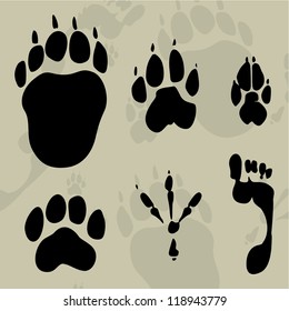 tracks of animals