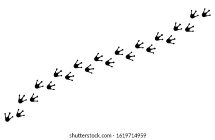 Tracks of frog paws isolated on white background. Vector illustration