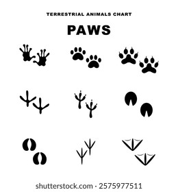 Tracks set of animal icons. Vector illustration