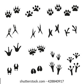 Tracks of wild animals and birds. Paw print. Isolated icons on white background.