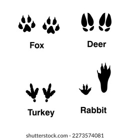 Tracks of wild animals flat illustration on white background.