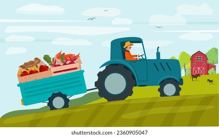 A tractor is carrying a trailer with a harvest. Rural landscape, fields, farmer grows vegetables. Vector illustration.