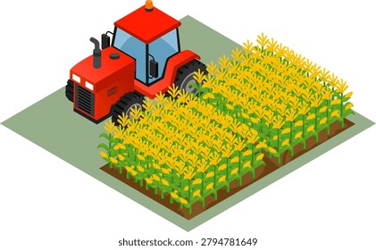 Tractor in Corn Field Isometric Agriculture Flat Vector Illustration	