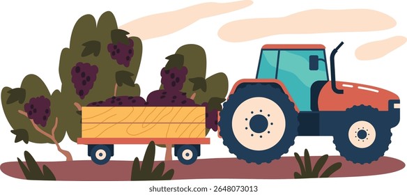 Tractor que entrega la Ilustración vectorial de cosecha de vid
