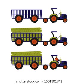 Tractor with empty trailer. Tractor loaded with sugarcane. Tractor with black tractor driver in the cab. Harvesting of sugarcane. Agricultural work. Set of isolated flat vector cartoon illustrations