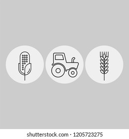 Tractor, grain, corn flat vector icons. Agriculture flat vector icons. Field cleaning flat vector icons