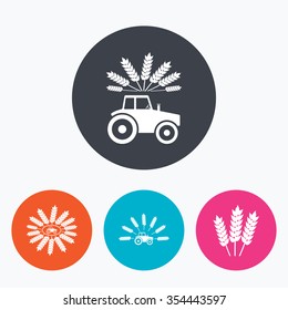 Tractor icons. Wreath of Wheat corn signs. Agricultural industry transport symbols. Circle flat buttons with icon.