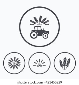 Tractor icons. Wreath of Wheat corn signs. Agricultural industry transport symbols. Icons in circles.