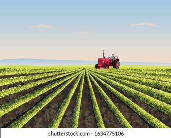 Tractor on Agricultural field - vector