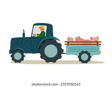 A tractor with a trailer transports pigs. Transportation of agricultural cattle for meat companies. Vector illustration.