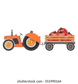 A tractor with a trailer truck driven by a crop of tomatoes. Vector illustration isolated on white background.