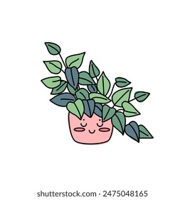 Tradescantia houseplant with eyes. Cute kawaii with with lots of small leaves.