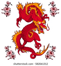Tradition Asian Dragon Illustration