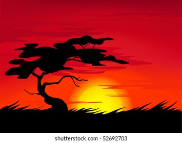 traditional african sunset illustration