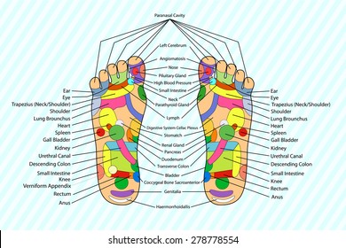 Traditional alternative heal, Acupuncture - Foot Scheme