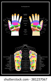 Traditional alternative heal, Acupuncture - Foot and hand Scheme
