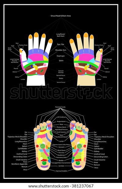 Traditional Alternative Heal Acupuncture Foot Hand Stock Vector Royalty Free 381237067 