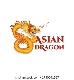 Dibujo vectorial detallado del dragón asiático tradicional. Carácter, mascota para tatuajes, afiche, viajar China, Japón Vietnam, Corea, Taiwán, Hong Kong, Mongolia diseño gráfico de camisetas. Salsa asiática, comida