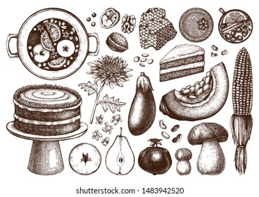 Traditional autumn food and drinks illustrations set. Harvest season vintage drawings. Hand drawn elements for Thanksgiving day design, banner, packaging, menu, recipe, logo. Vector outlines set.