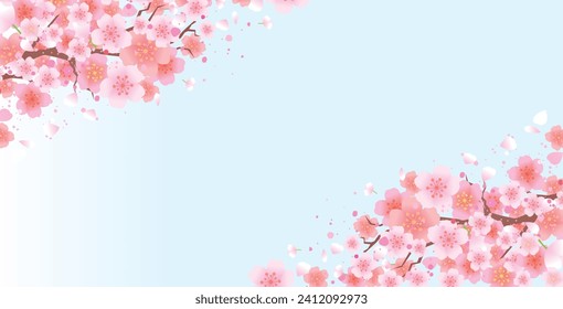 Traditional background with beautiful spring cherry blossoms