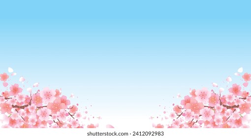 Traditional background with beautiful spring cherry blossoms