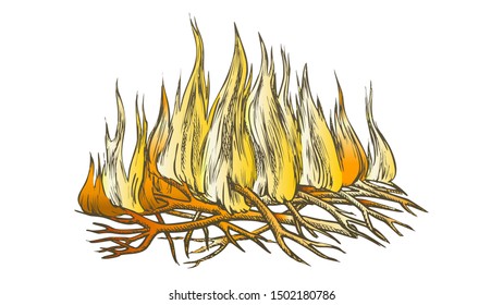 Traditional Burning Camping Fire Color Vector. Tree Branch Sticks Twigs Fire Campfire. Sprouts Of Flame And Offshoot Of Plant Hand Drawn In Retro Style Illustration