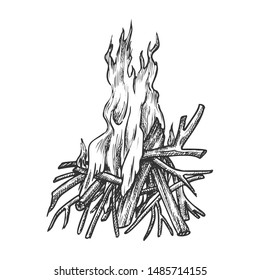 Traditional Burning Timbered Stick Vintage Vector. Burning Tree Wood Branches For Inflaming Flame. Hot Temperature Controlled Fire Of Twigs Designed In Retro Style Black And White Illustration