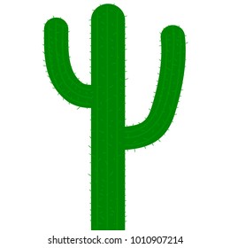 Traditional cactus plant with needles