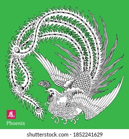 Traditional Chinese Beautiful Phoenix bird