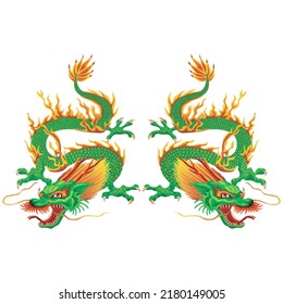 Traditional Chinese Dragon Vector Illustration