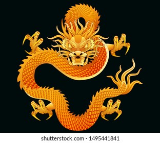 Traditional Chinese Golden dragon . Graphic vector
