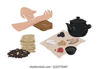 Traditional Chinese Medicine, collection of natural raw herbal ingredients vector illustration