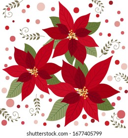 Traditional Christmas design with poinsettia and leaf on white background, vector illustration