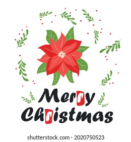 Traditional Christmas poinsettia flower with green leaves and red petals. Cute winter poster, Christmas card, banner, sticker, gift tag. Christmas flower blooming plant