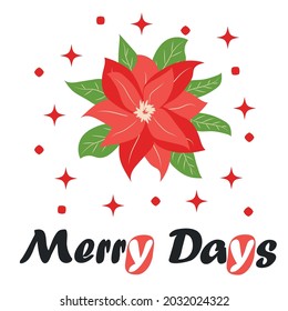 Traditional Christmas poinsettia flower with green leaves and red petals. Cute winter poster, Christmas card, banner, sticker, gift tag. Christmas flower