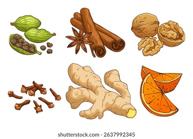 Traditional Christmas spices and ingredients: cardamom, star anise, cinnamon, walnut, clove, ginger, and orange slices. Hand-drawn vector illustration, isolated on white background