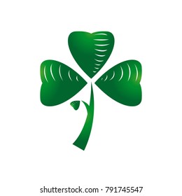 Traditional clover on a white background, Vector illustration
