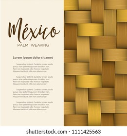 Traditional Colorful Mexican Vectorized Palm Weaving Composition – Copy Space