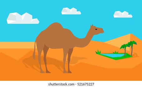 Traditional Eastern and African natural motif. Dromedary camel in the desert, oasis from nearby. Flat design vector. For traveling and nature concepts, habitat illustrating. Exotic domestic animal