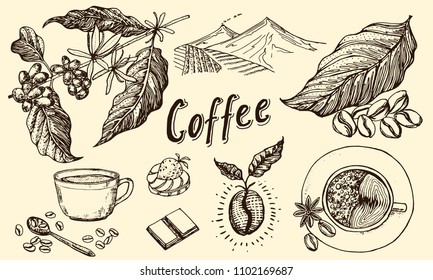 Traditional Filter Coffee Maker. Modern vintage elements, percolator, plants, grain and kettle for the shop menu. Vector illustration. engraved hand drawn in old sketch for card, badges, labels.