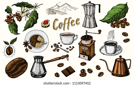 Traditional Filter Coffee Maker. Modern vintage elements, percolator, plants, grain and kettle for the shop menu. Vector illustration. engraved hand drawn in old sketch for card, badges, labels.