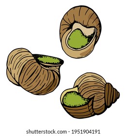 Traditional French cuisine, stuffed with snails. White background, isolate. Vector illustration. Hand-drawn style.