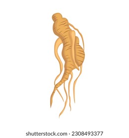 Traditional Ginseng Food Plants Illustration Vector Clipart Cartoon
