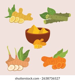 Traditional herbal spices collection illustration