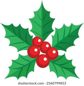 Traditional Holly Leaves and Berries Vector Illustration