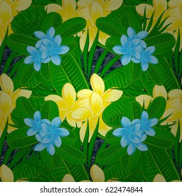 Traditional Indian floral seamless pattern with motley plumeria flowers on a blue background. Vector illustration.