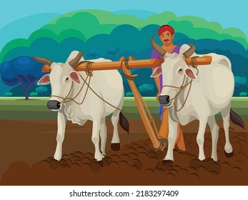 Traditional Indian framer using an ox to plow Paddy field for planting. svg