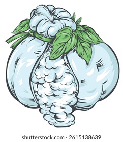 Traditional Italian burrata with buffalo milk and fresh basil. Vector illustration. vector illustration